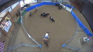 Big Sky Ranch Sorting Saddle Series #5 - #3 - Round #2 - Ride #6