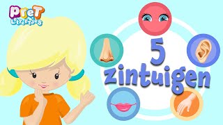 Zintuigen Leren | Kent jouw kleuter alle 5 Zintuigen? | Thuisonderwijs Nederlands | Kleuteronderwijs screenshot 2