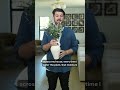 The Hidden Health Risk of Your Indoor Plant #shorts #houseplants #mold