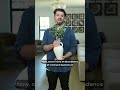 The Hidden Health Risk of Your Indoor Plant #shorts #houseplants #mold