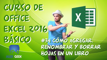 34 Cómo agregar, renombrar y borrar hojas en un libro