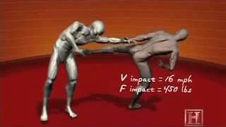 Human Weapon Sambo   Side kick