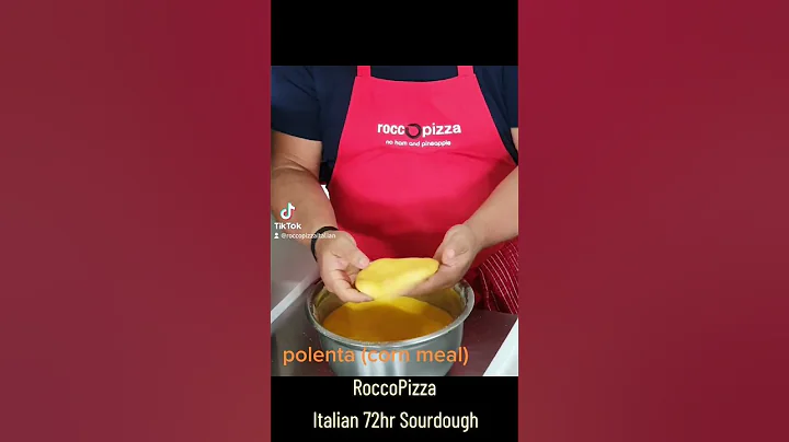 FERMENT 72 HRS & USE POLENTA (gf) or RICE FLOUR (g...