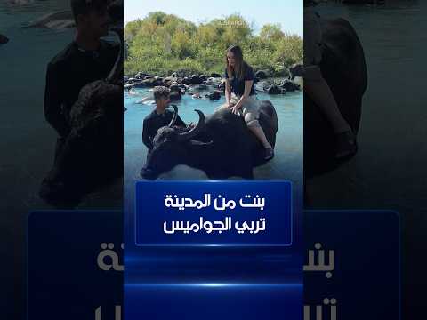 بنت من المدينة تربي الجواميس ! .. تمارا بتجربة جديدة | يومك يومي