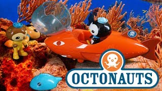 Octonauts Adventure Special - Episode 1 - Full English - Cbeebies