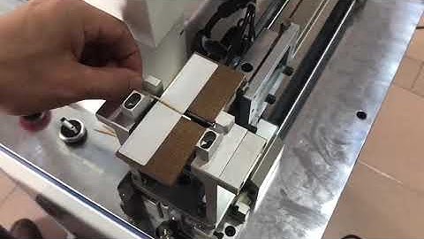 Toothpick flag label labeling machine test video