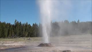 Pink Cone Geyser (3 June 2021) (HD)