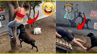 Try Not To Laugh The World Will Stop Laughing