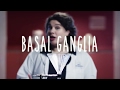 Basal Ganglia - UBC Flexible Neuroanatomy - Season 1 - Ep 7