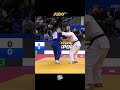 Top Ippons European Judo Championships 2026 #judohighlights #judo