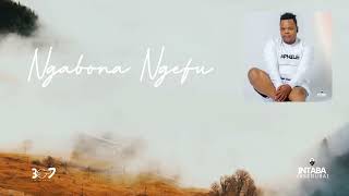 Intabayasedubai - Ngabona Ngefu (Official Audio)