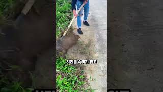 만능 잡초 제거기