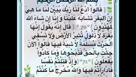 تلاوة قوية ترتاح لها القلوب للقارئ الشيخ رفيق خريف من سورة البقرة (67-73)  مسجد الناصرية بوزريعة