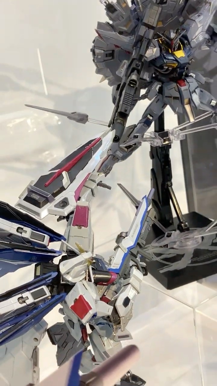 魂ウェブ METAL BUILD 機動戦士ガンダムSEED フリーダムガンダム