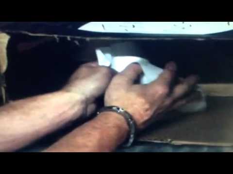 How a Fax Machine works - YouTube