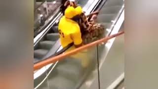 West Africans Try Escalators For The First Time 😆🤣😂