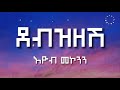 Debzezesh Eyob Mekonnen Lyrcis Video ደብዝዘሽ እዮብ መኮንን 