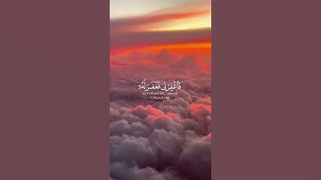 ما تيسر من سورة القصص | القرآن الكريم | القارئ ماهر المعيقلي