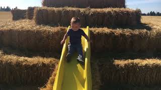 Ellis Farms visits the pumpkin patch!