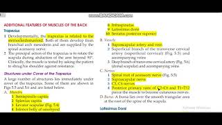 Lec#13 Structure under cover of Trapezius Back Part -1 /bd churasia chapter 6#bd #upperlimbanatomy