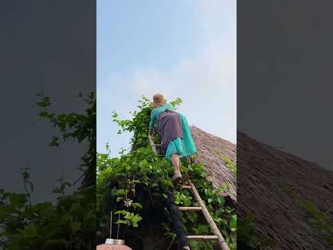 Enjoy beautiful nature