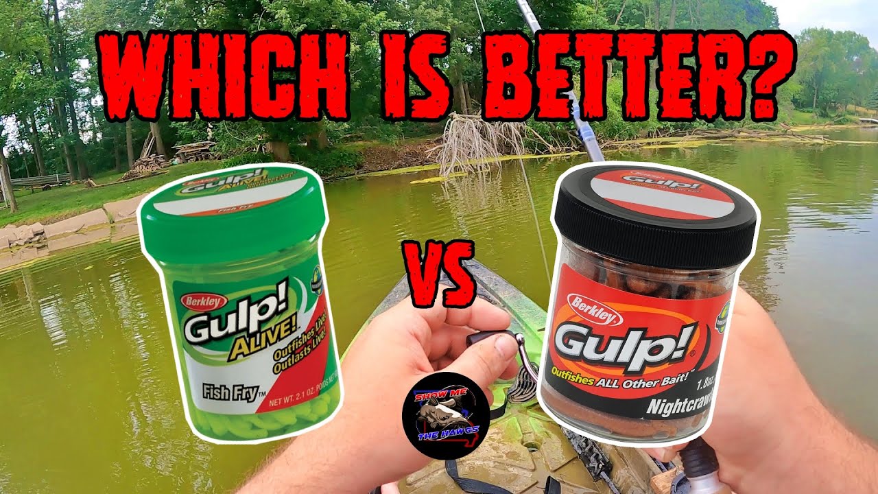 Which Bait Will Fish Go After? Berkley Gulp! Minnows vs