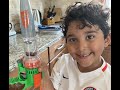 5-year-old N.J. boy catches spotted lanternflies with toy