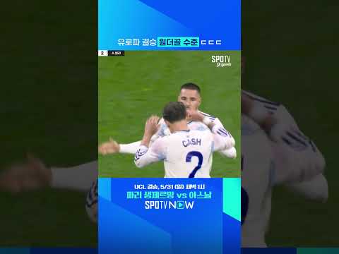 44년 만의 유럽대항전 우승은 원더골로 하는 편