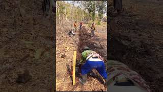 Download Lagu SESUAI BATAS saja MP3