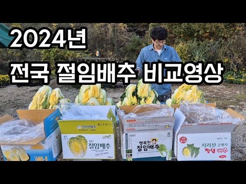 내돈내산 전국 절임배추 ㅎ 전국 4곳 절임배추  비교 해봤어요~ 제  입맛에는 이게 최고네요 ~
