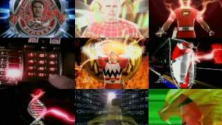 forever red morph