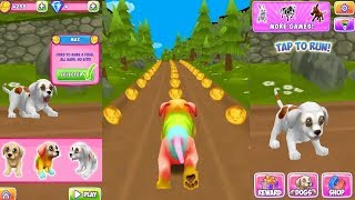 DOG RUN How can your dog get more m...