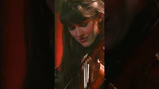 Happy St. Paddys! Enjoy some traditional Irish music from the Come From Away band #shorts #ireland