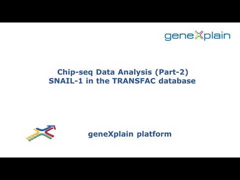 ChIP-seq Data Analysis (part-2) SNAIL-1 in the TRANSFAC database
