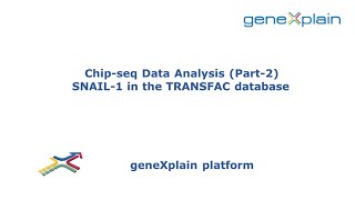 Chip-Seq Data Analysis Part-2 Snail-1 In The Transfac Database