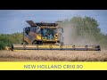 New Holland CR10.90 Harvesting Wheat Summer 2019