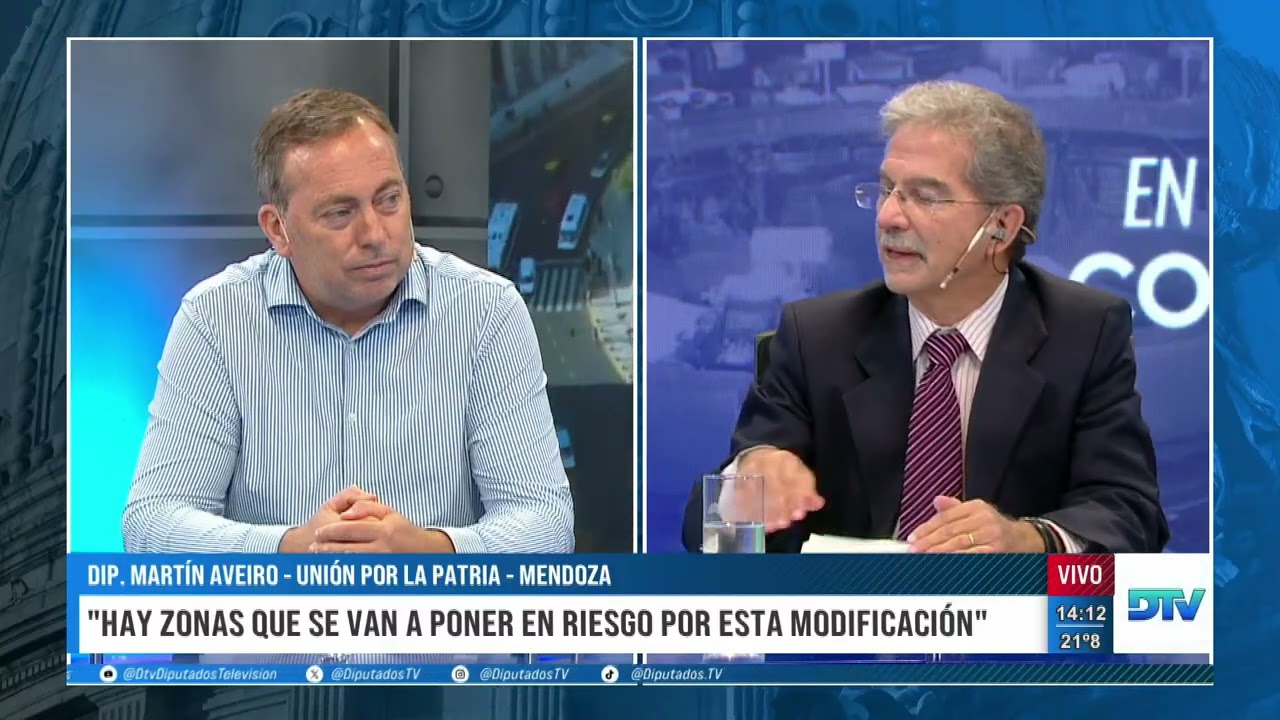 “Solo se logra que la gente aumente el descreimiento en la política argentina”, Martín Aveiro  en D
