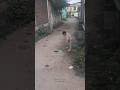 Aaj Me Reheshmay Yantar Dekha #minivlog #funny #vlog