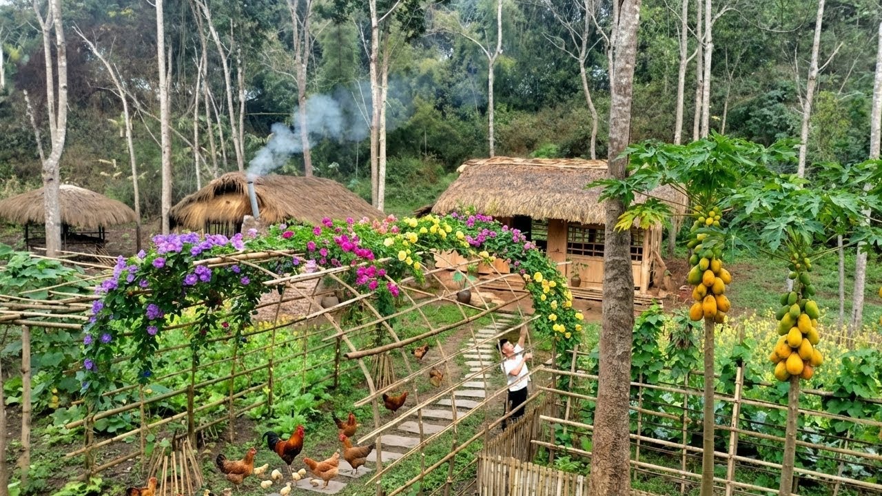 Time-Lapse: The CEO left the city to build a life in the forest, repairing his house and gardening
