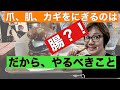 【爪、肌を変えるには】内側を観ることから始めよう！腸がポイントになるよ！