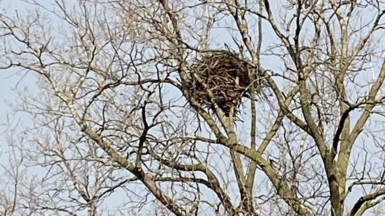 Wisconsin Winter Walk