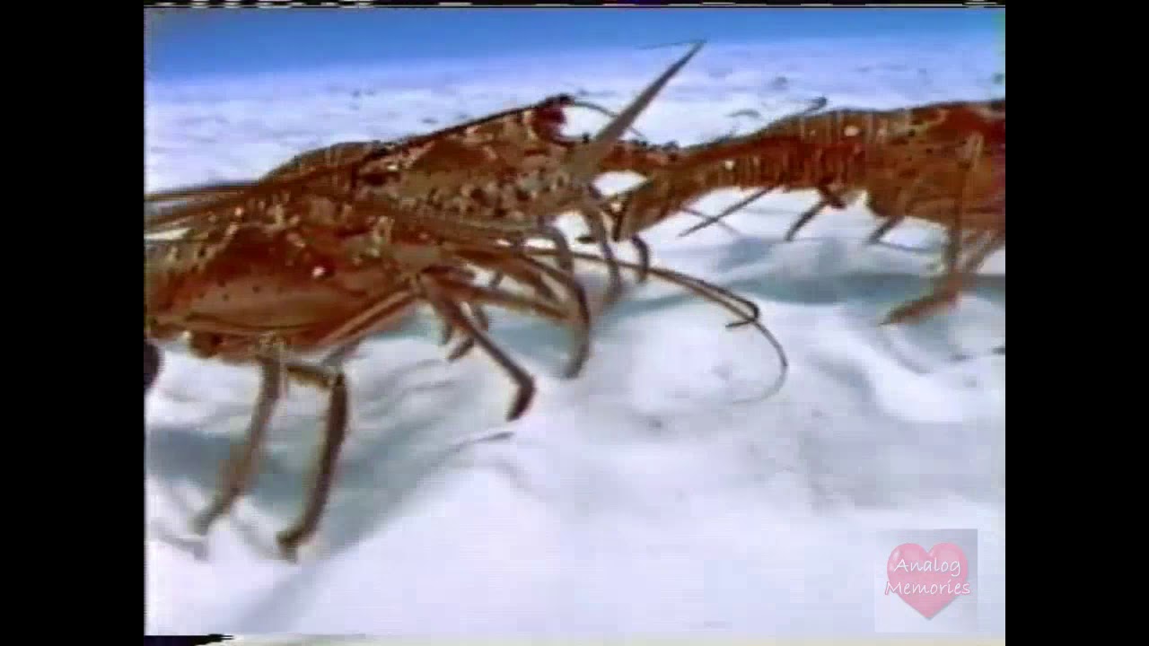 Red Lobster Television Commercial 2001 Lobsterfest YouTube