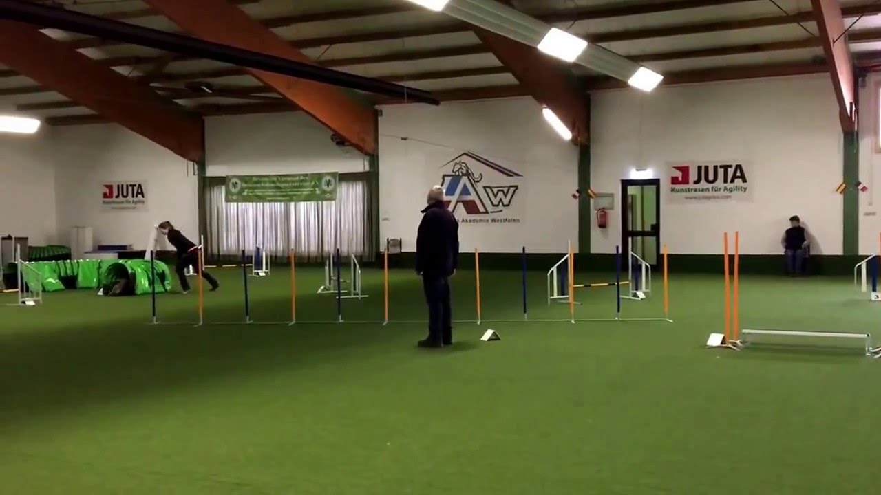 2. Agility WM/EO Qualifikation 2016 - Lou J3 small - V0 Platz 6