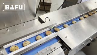 biscuit packaging machine,cookies packaging machine,cracker packaging machine,flow wrapper,flow-pack