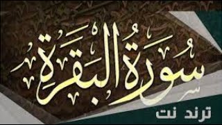 سورة البقرة / الشيخ محمود شعبان  surah Al Baqarah / Sheikh Mahmoud Shaaban