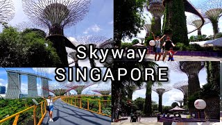 Garden by the Bay (skyway) SINGAPORE