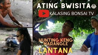 Hunting Keng Marangle Kalasing Bonsai Tv