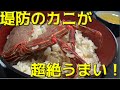 ＃２　堤防で捕ったカニを食べたら超絶うまかった！