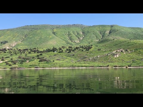 Тора ,Пророки ,Священные Писания ,Библия ,Иудаизм ,Христианство ,Вопросы и Ответы