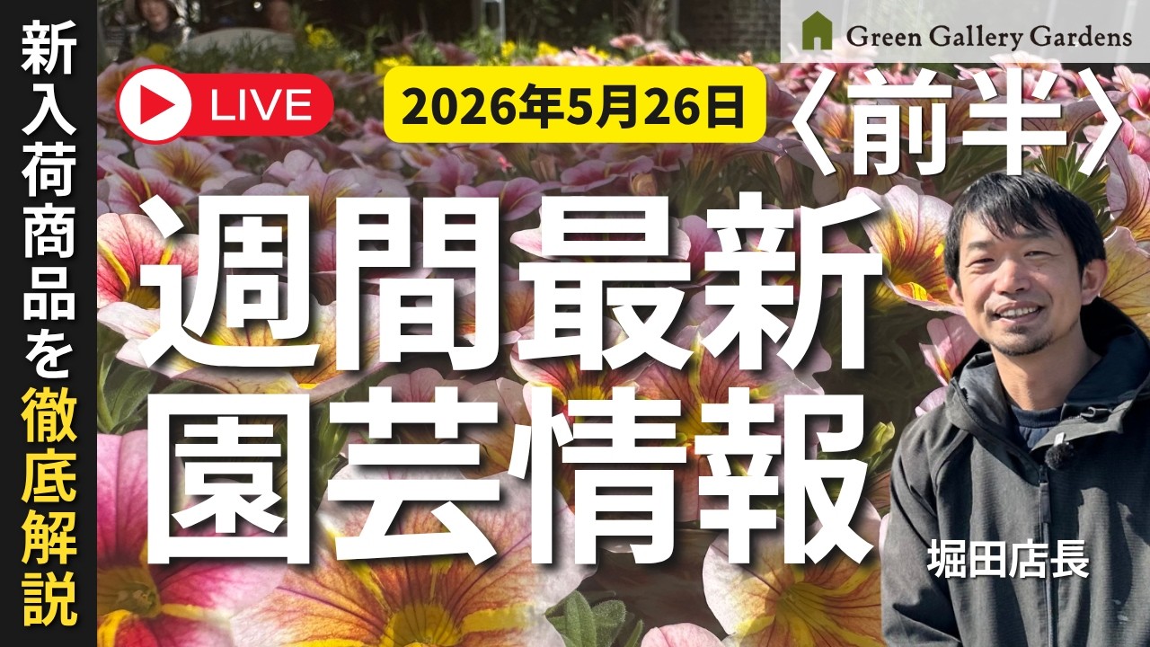 Part 1) [Latest News] All the May 26th New Arrivals at Green